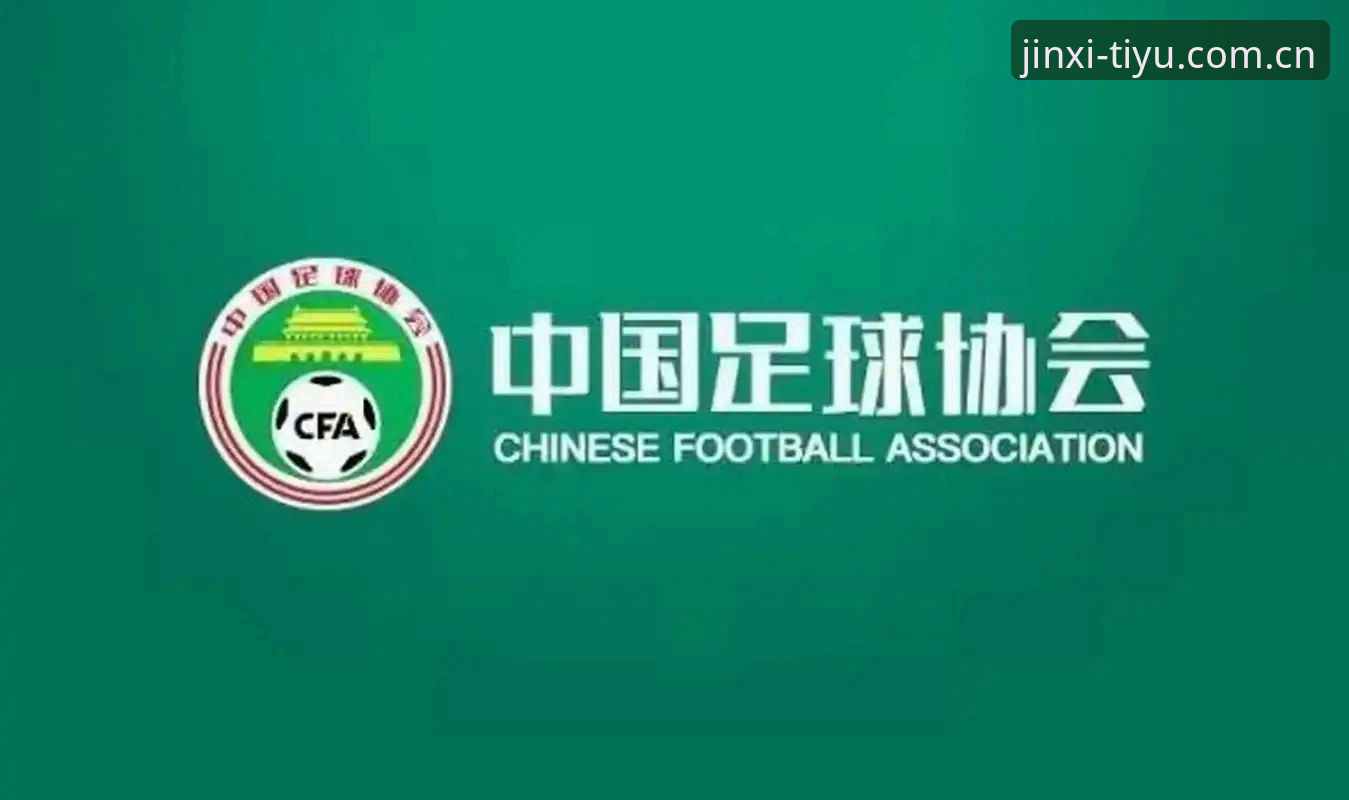 足球反腐风暴实用指南：如何通过金喜体育App快速掌握禁足名单完整动态